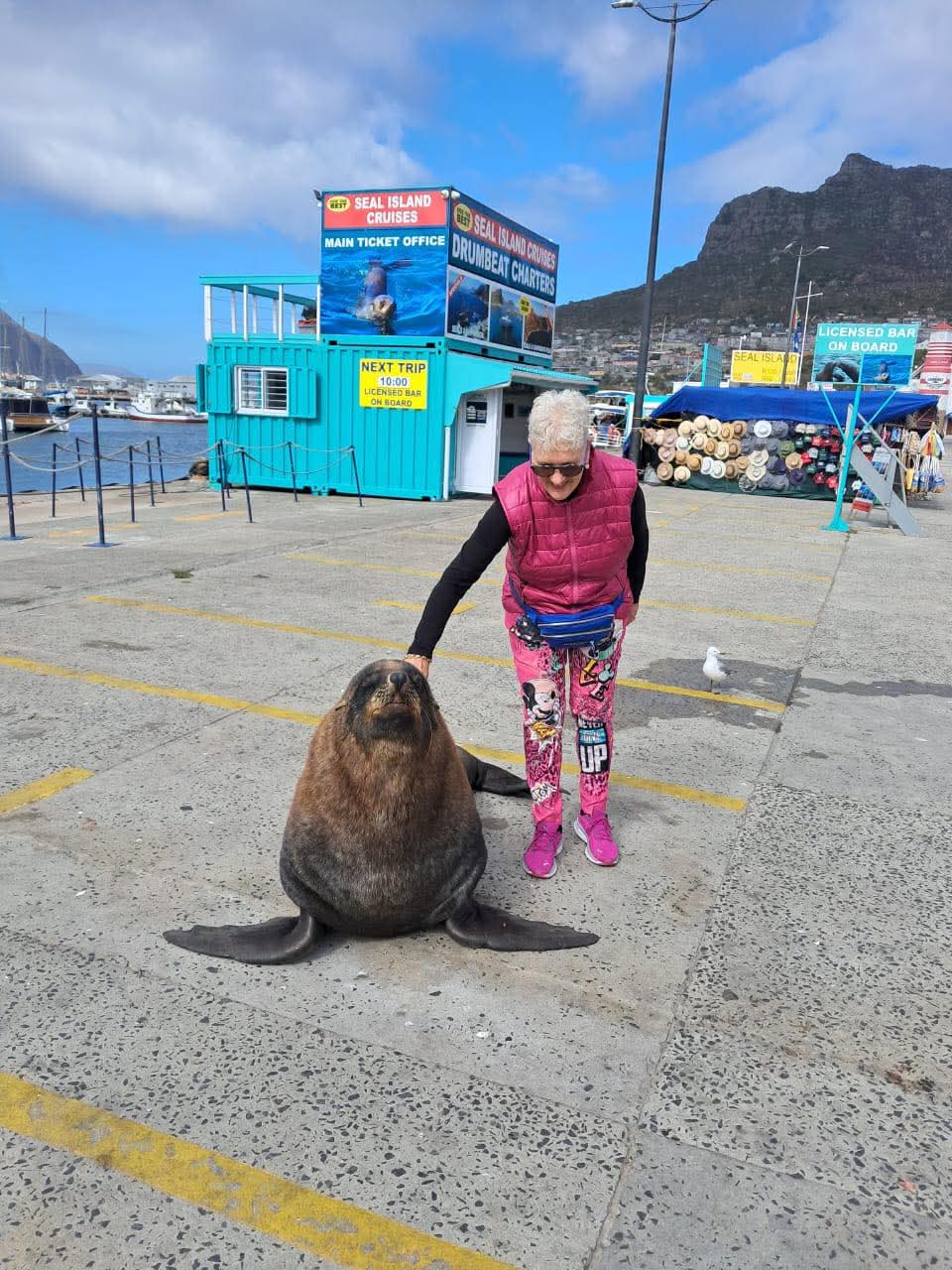 Gombe Africa guided safari tour group in Cape Town